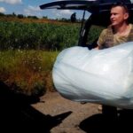 13697212_1048192298610456_2019516668762563969_n