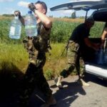 13726573_1048192491943770_7174749077629855783_n