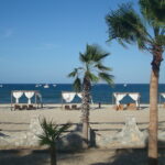DSC01775