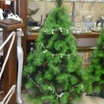 Крамниця Колумб (2)