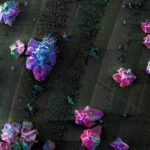 Stone Flower